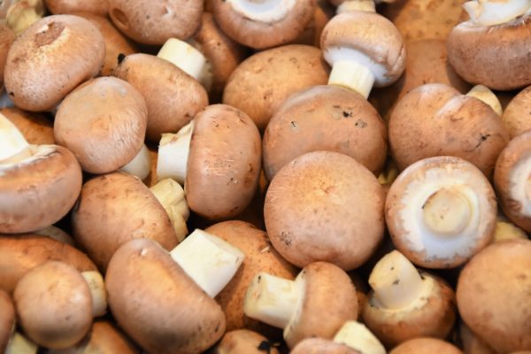 Champignons de Paris Brun (kg)